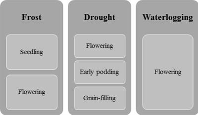 Faba Bean Cultivation – Revealing Novel Managing Practices for More Sustainable and Competitive European Cropping Systems